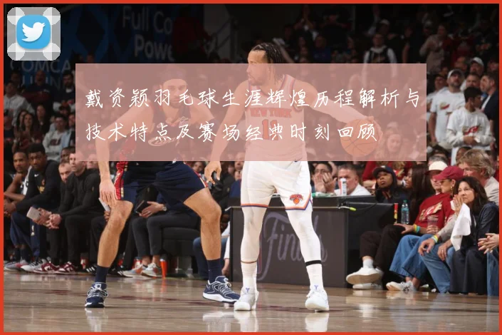 戴资颖羽毛球生涯辉煌历程解析与技术特点及赛场经典时刻回顾