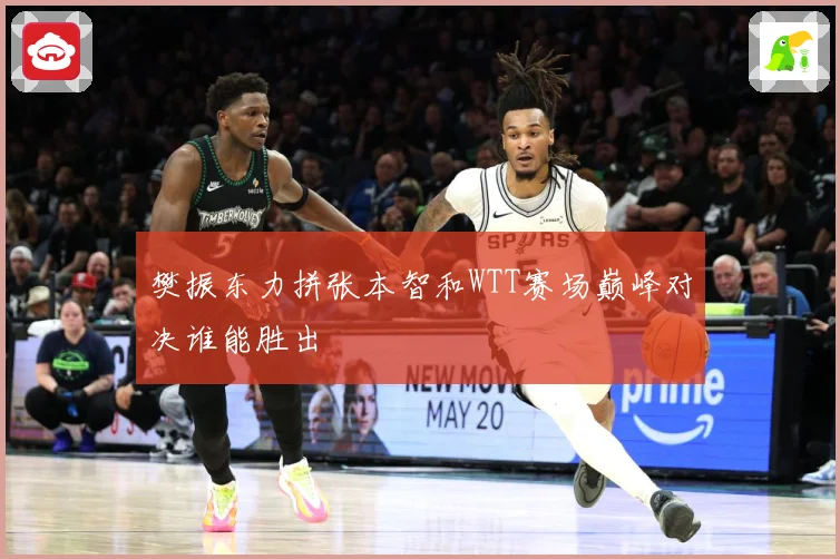 樊振东力拼张本智和WTT赛场巅峰对决谁能胜出